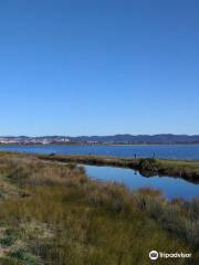 Plage de l'Almanarre