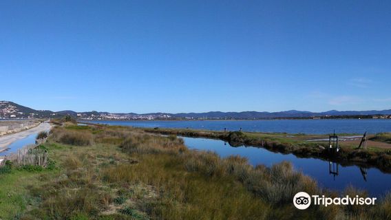 Plage de l'Almanarre