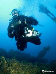 Acquelibere Sub Diving Club