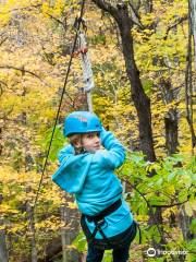 Adventureworks Zipline Forest