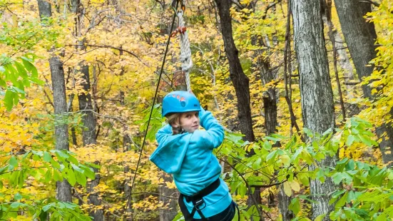 Adventureworks Zipline Forest