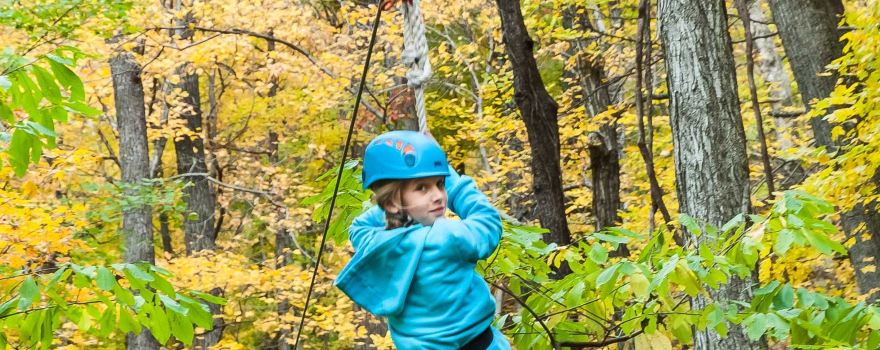 Adventureworks Zipline Forest