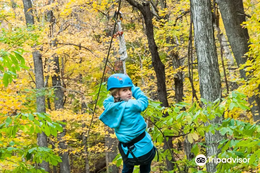 Adventureworks Zipline Forest