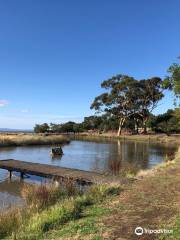 Tuki Trout Farm