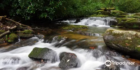 Sliding Rock Cascade on Wildcat Creek