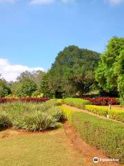 Government Herbal Farm