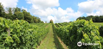 Château Terre Vieille - Pecharmant