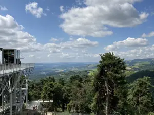 Les Loups du Gevaudan