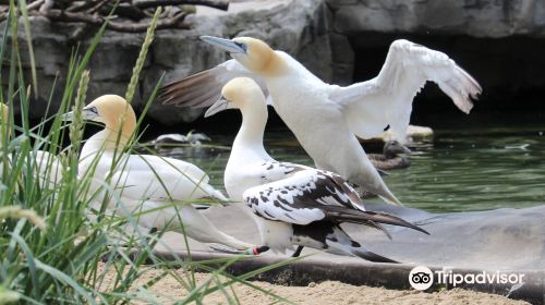 Bremerhaven Zoo