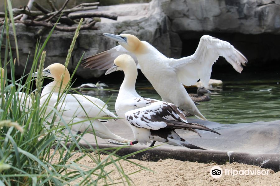 不來梅港濱海動物園