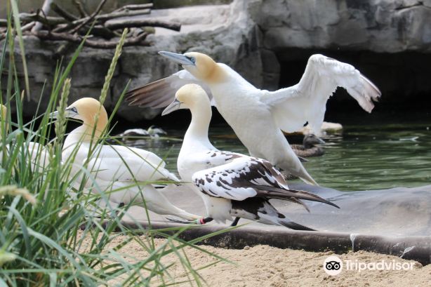 Bremerhaven Zoo