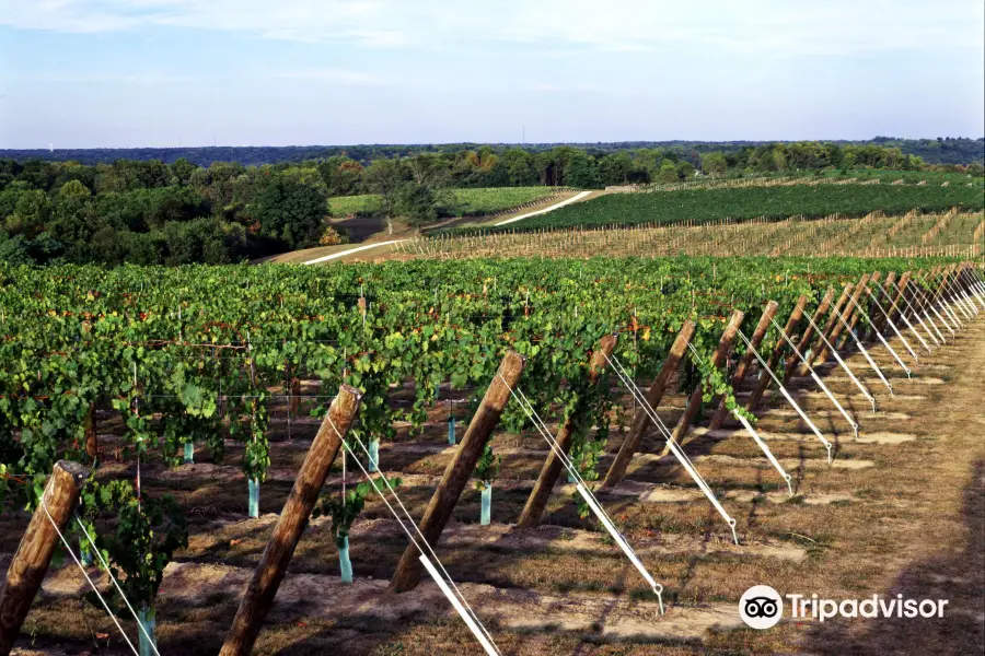 Creekbend Vineyard