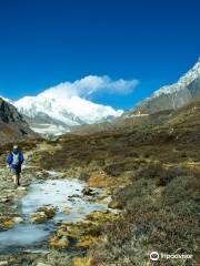 Glacier Trek & Adventure