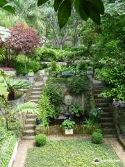 Jardins botaniques de Gibraltar