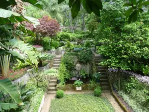 Gibraltar Botanic Gardens