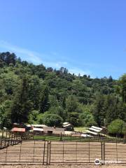 Tilden Little Farm