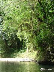 Arecibo River