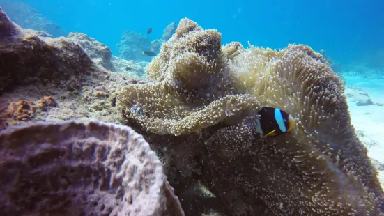 Myanmar SubSea Divers