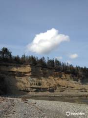 Lily Point Marine Reserve