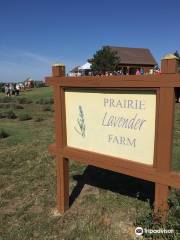 Prairie Lavendar Farm