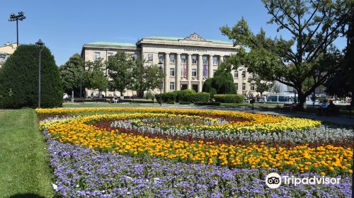 Freedom Square