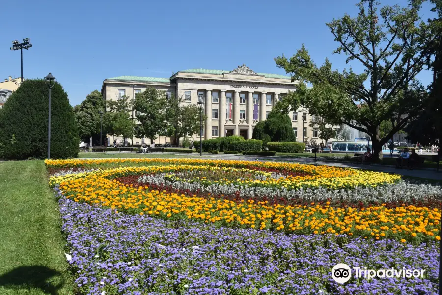 Freedom Square