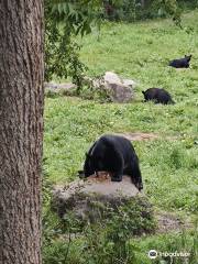 Vince Shute Wildlife Sanctuary