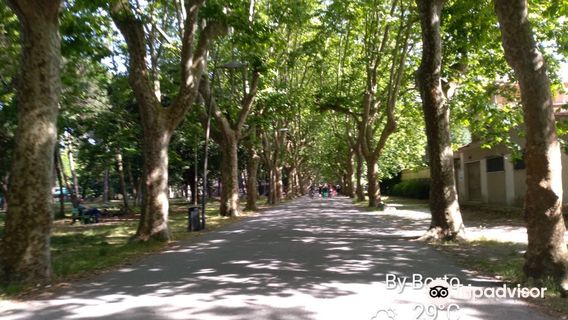 Pineta di Ponente