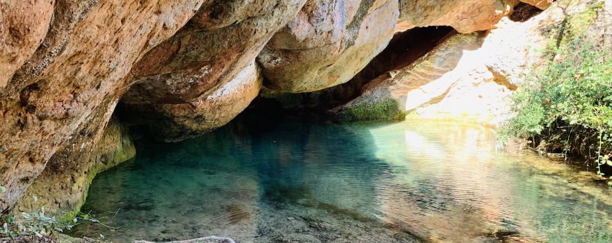 Source de l'Avy