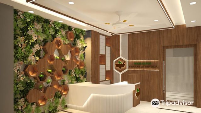 MAHARSHI CHARAK AYURVEDA