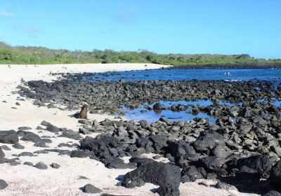 Playa Punta Carola