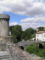 Pont et Porte Saint Jacques