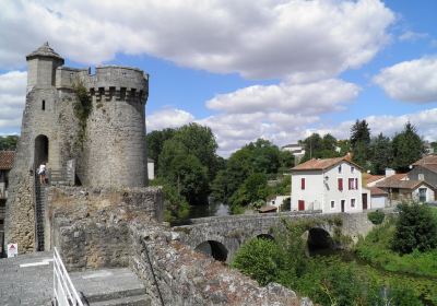 Pont et Porte Saint Jacques