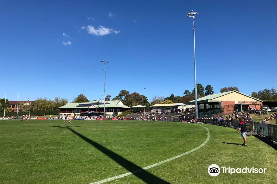 Box Hill City Oval