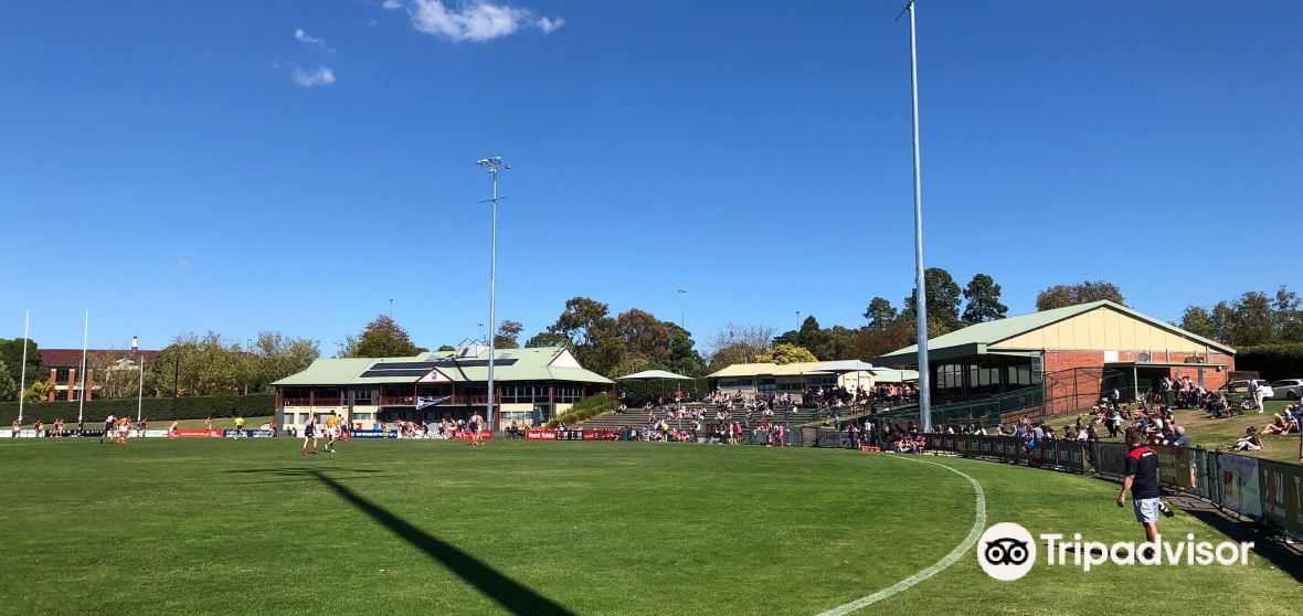 Things to Do in Box Hill in 2024 Top Attractions, Local Food, Hotels