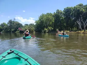 Canoe The Murray