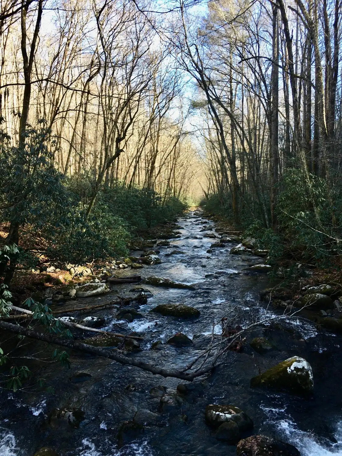Các khách sạn gần Cherokee Indian Reservation