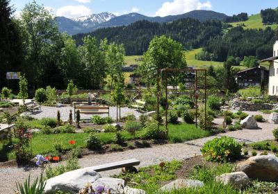 Hildegard von Bingen Garten