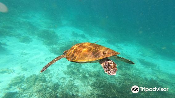 Daymaniyat Islands Nature Reserve