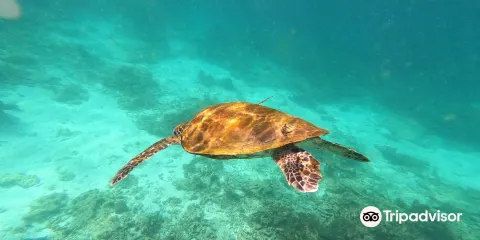 Daymaniyat Islands Nature Reserve