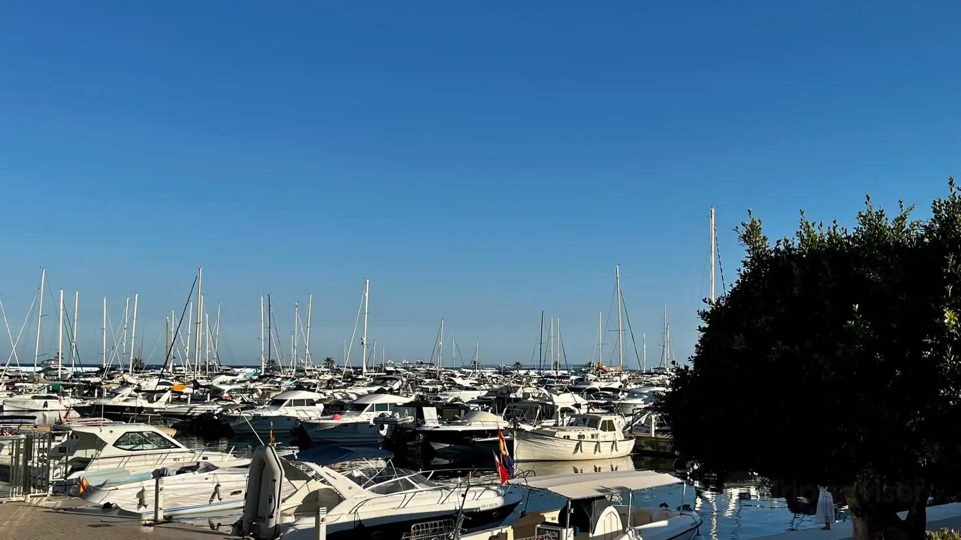 Hotels in de buurt van Marina Santa Eulalia