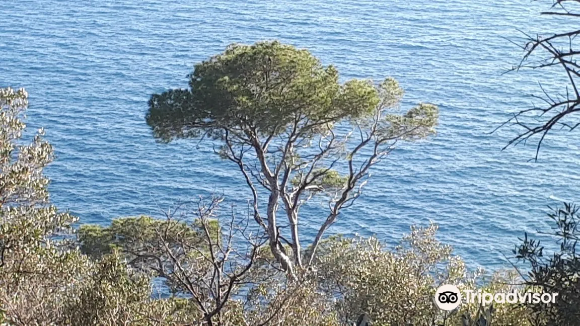 5_Parc du Mont Boron