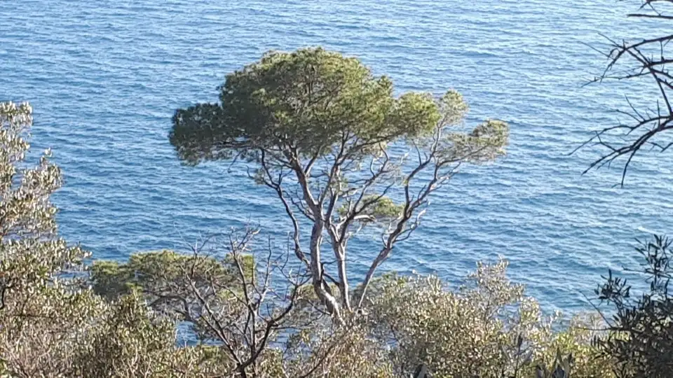 5_Parc du Mont Boron