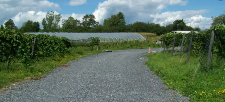 Hotels in Plattsburgh