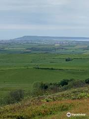 Hardy's Monument