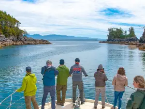 Archipelago Wildlife Cruises