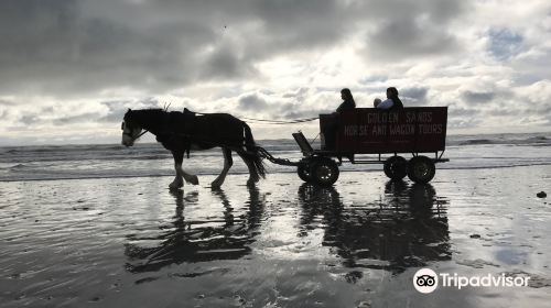 Golden Sands Horse And Wagon Tours