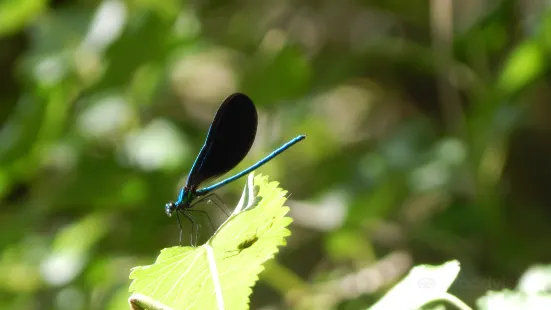 Prairie Edge Nature Park