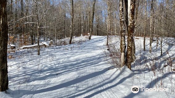 Osceola Ski and Sport Resort