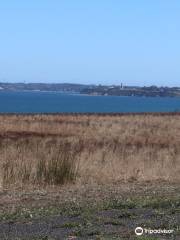 Frank Lodge Scenic Lookout